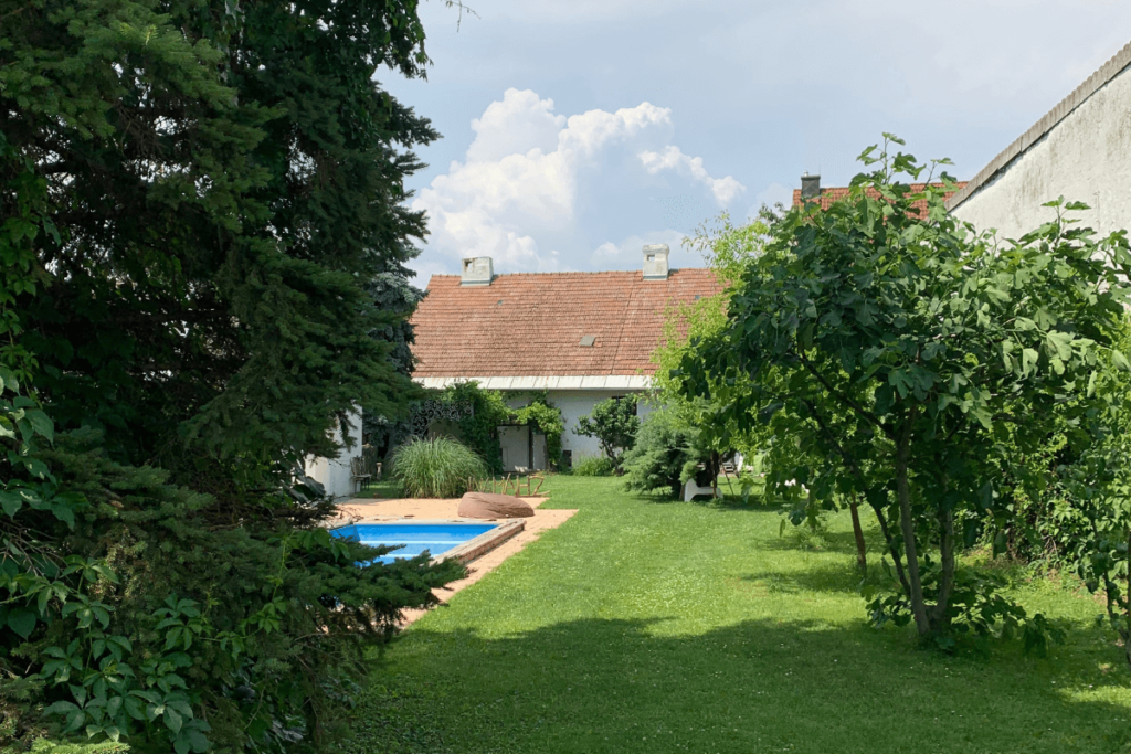 Blick in den vorderen Teil des Gartens